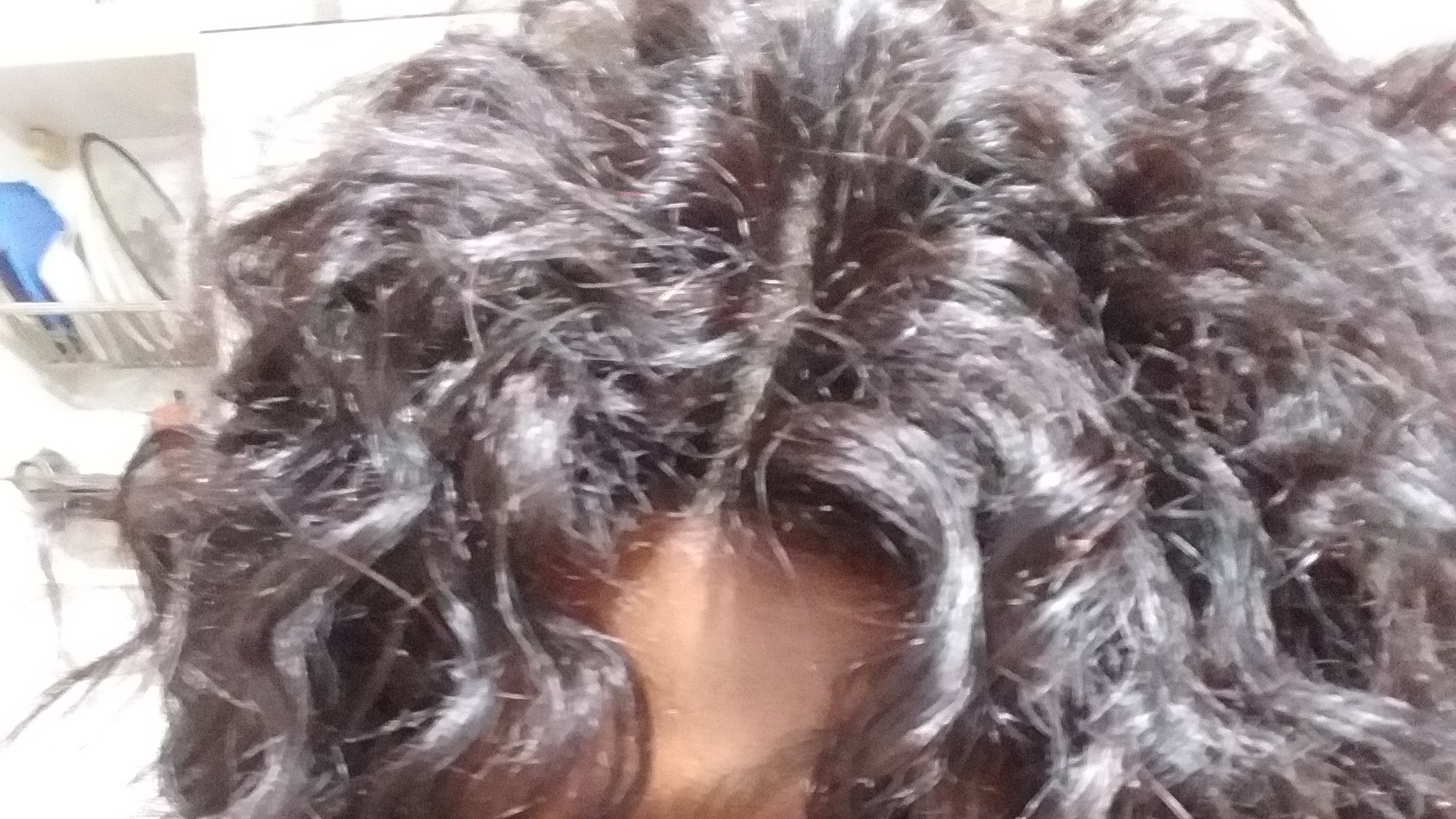 lorem ipsum dolor sit